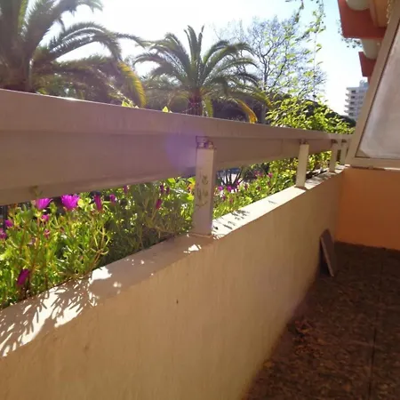 2 Pieces Climatise Avec Terrasse Et Parking - Centre - Fr-1-308-66 Apartment